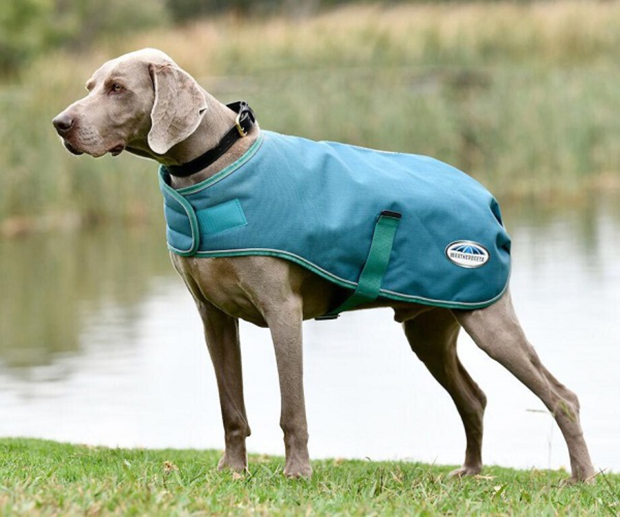 Weatherbeeta Green-Tec 1200D Parka Dog Coat image 1